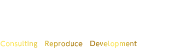 Your real estate development partner