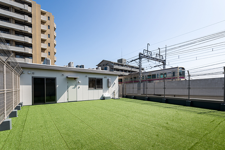 Rooftop garden