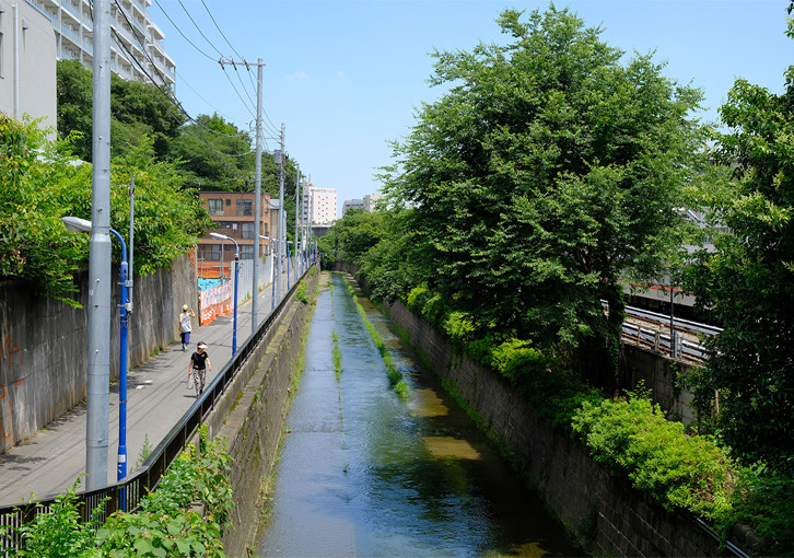 View of the neighborhood