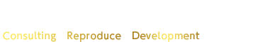 不動産開発パートナー